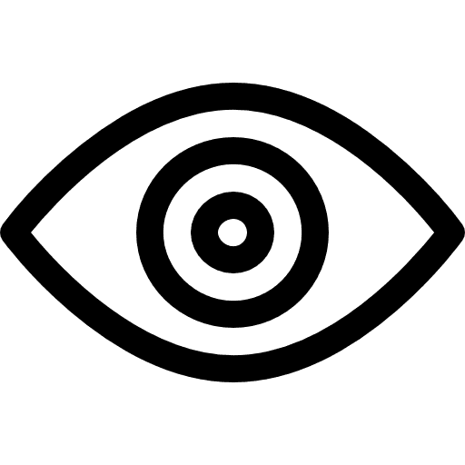 Vision icon